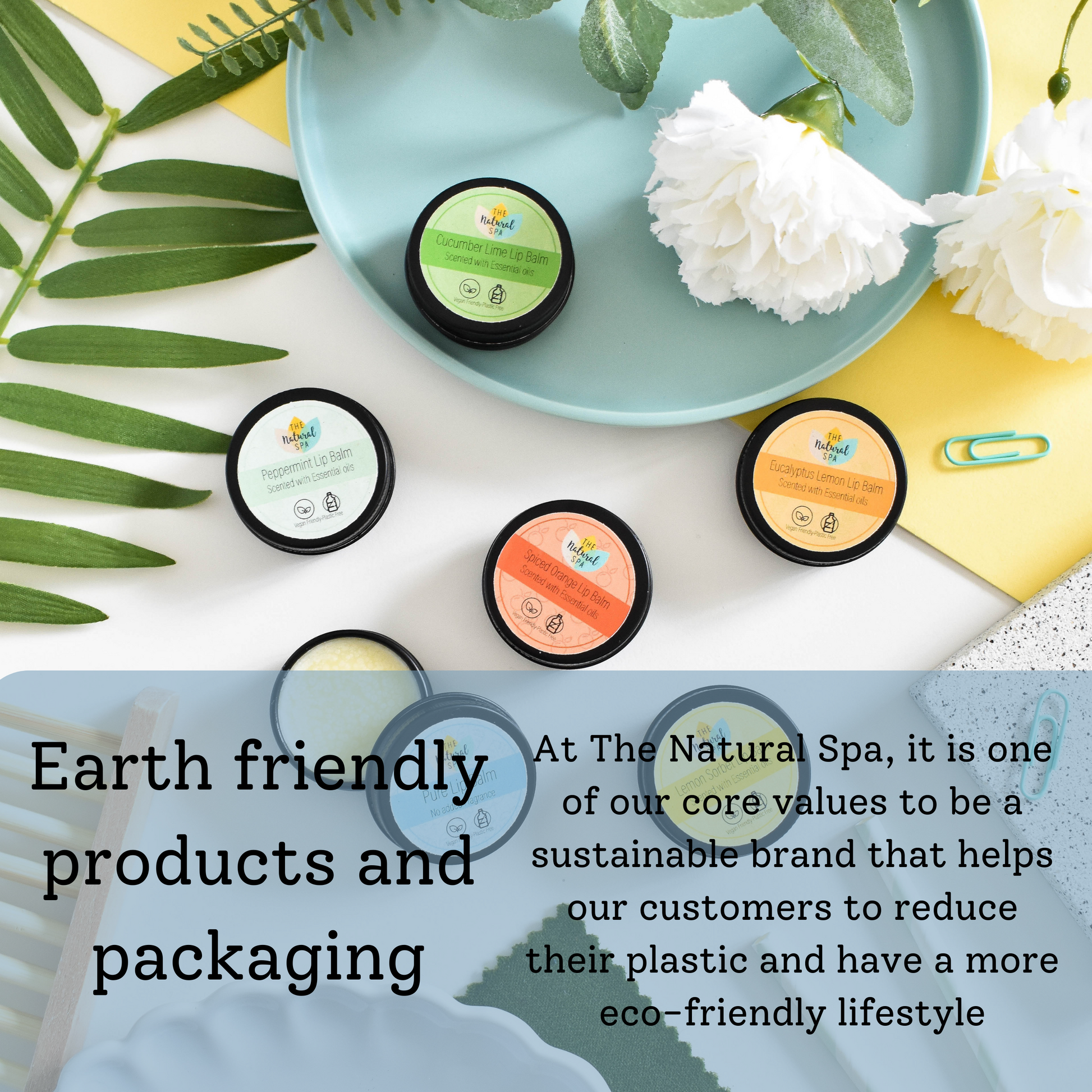 Pure All Natural Lip Balm-3
