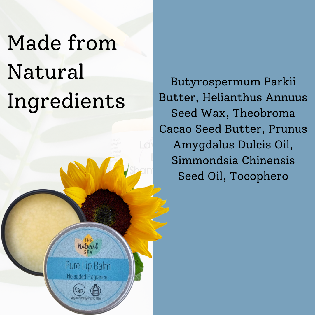 Pure All Natural Lip Balm-4